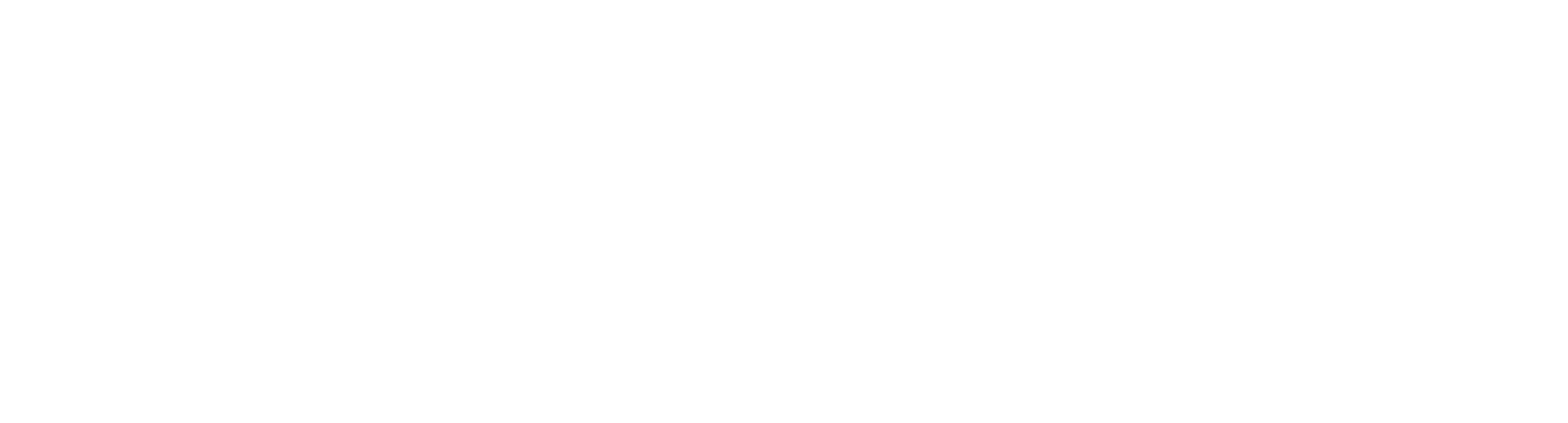 Steady Flame Fireplaces